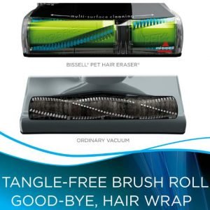 BISSELL Pet Hair Eraser Deluxe 16501 Review - Brushroll